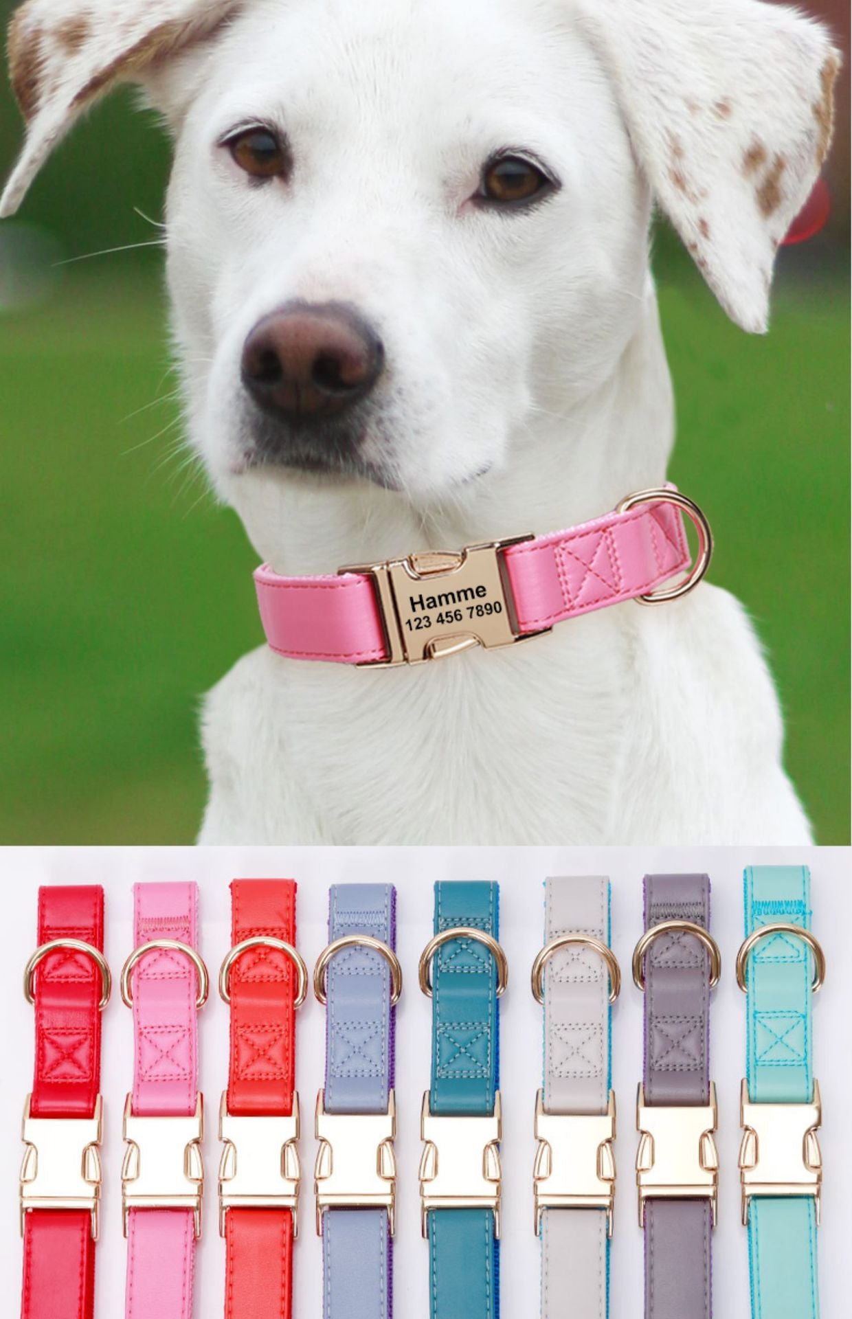 PREORDER: Engraved Dog Collar 1.20.25 osym