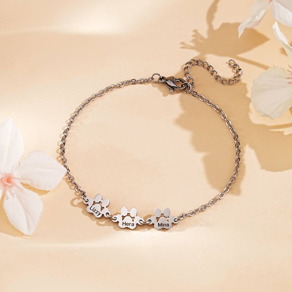 PREORDER: The Forever Pawprint Collection 10.19.26 osym