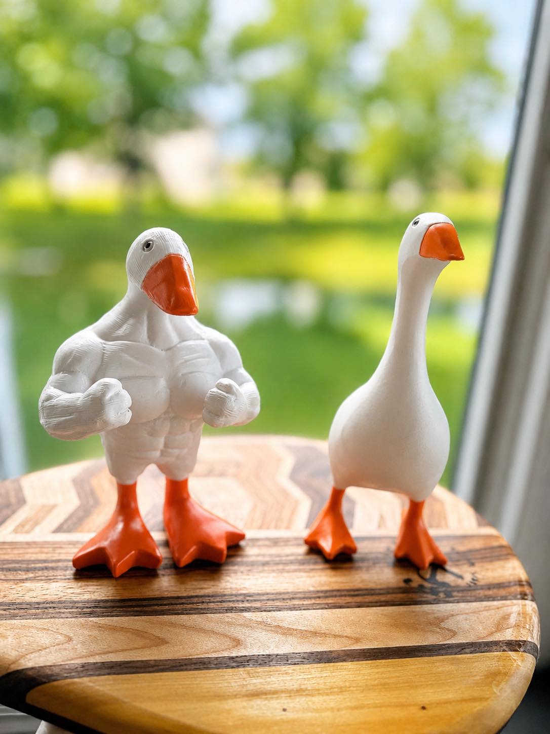 PREORDER: Goose on the Loose  RERUN 6.15.26 osym
