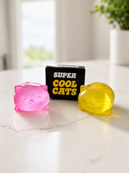 RTS: Super Cool Cat Squish