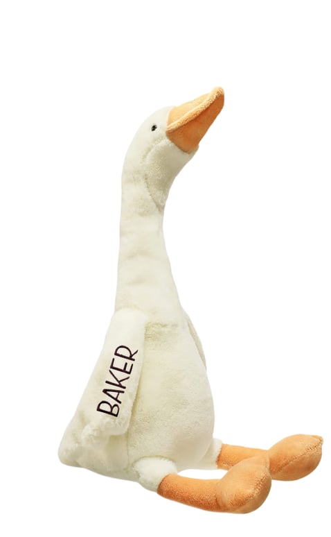 PREORDER: Personalized Geese 1.19.26