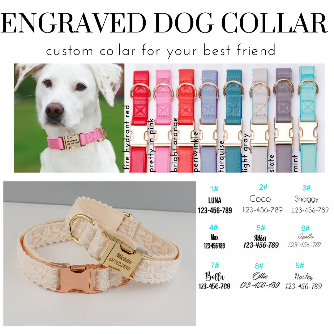 PREORDER: Engraved Dog Collar 1.20.25 osym